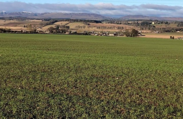 Country Loft, Tibbermore, Perth, Scotland