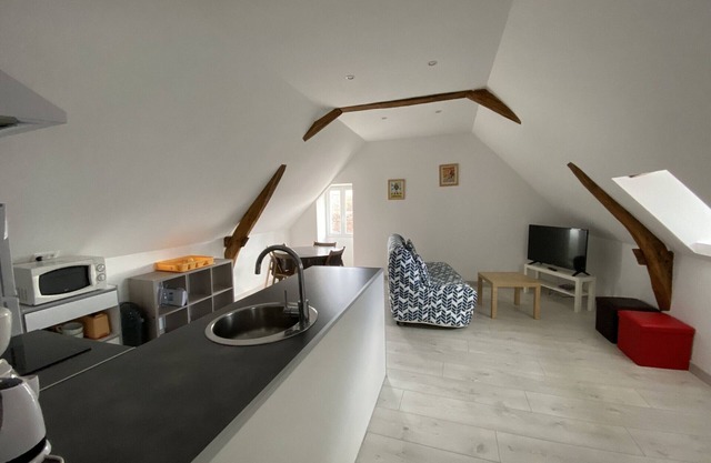 Cozy 1-Bedroom Apartment Near Saint Roch Thermal Baths, La Roche-Posay