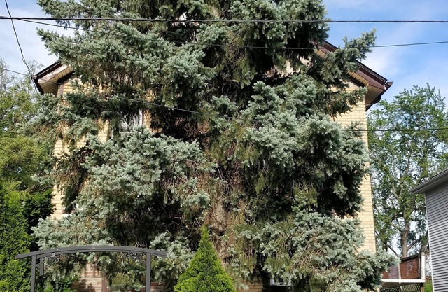 Cozy 1 Bedroom, Niagara home away from home