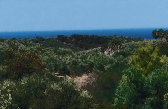 Cozy apartment with a huge plot with sea view, dog friendly.
