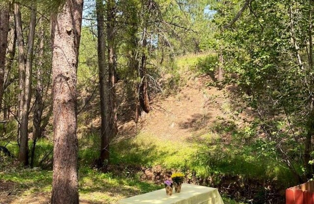 Cozy Cabin with Creek in Cascade-Chipita Park