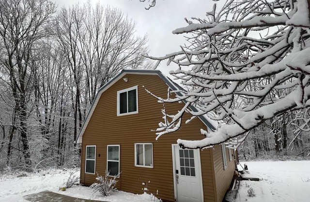 Cozy Cabin with Forest Views