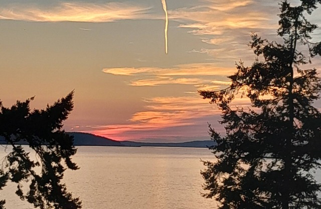 Cozy Camano Island Retreat & Gallery w/beach access.