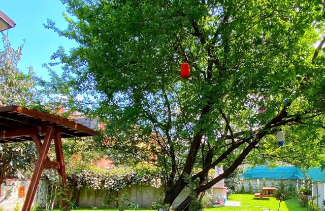 Cozy Flat with Backyard and Fireplace in Sapanca
