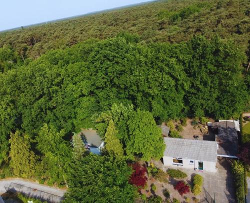 Cozy Forest Cabin, Fenced Garden, Peace & Privacy