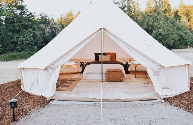 Cozy glamping tent on Marrowstone Island nestled in a breathtaking apple orchard