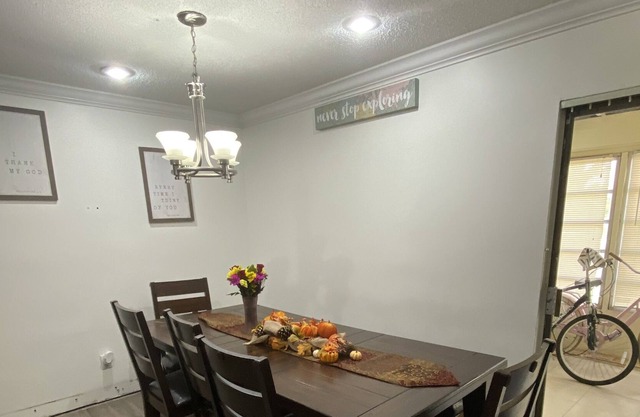 Cozy Home Away from Home (New Listing)
