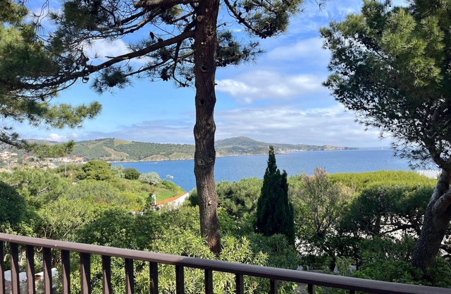 Cozy house in Banyuls-sur-Mer for 4 ppl with terrace and sea view