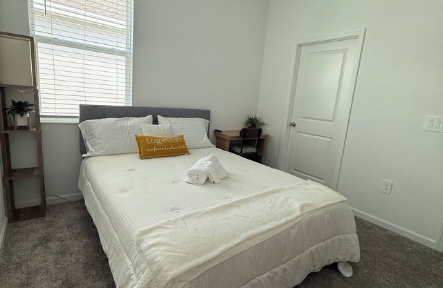 Cozy one bed apartment for nomads or travel nurses, pets are allowed
