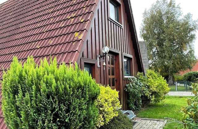 Cozy roof-only house with flair in the Fedderwardersiel vacation park. Dog-free.