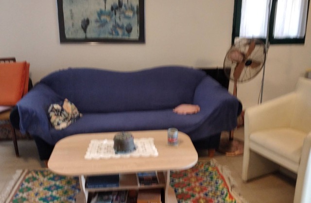 Cozy studio apartment in the middle of a large garden. Have dogs.