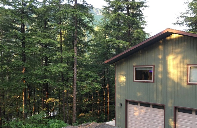 Cozy studio on the edge of the Tongass National Forest