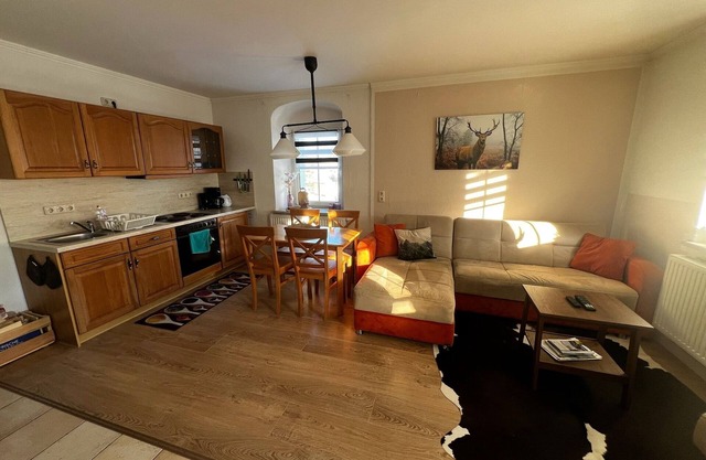Cozy vacation apartment with fireplace on the ski slope! Children & pets welcome!