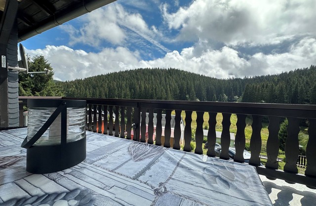 Cozy vacation home with large terrace in the Thuringian Forest
