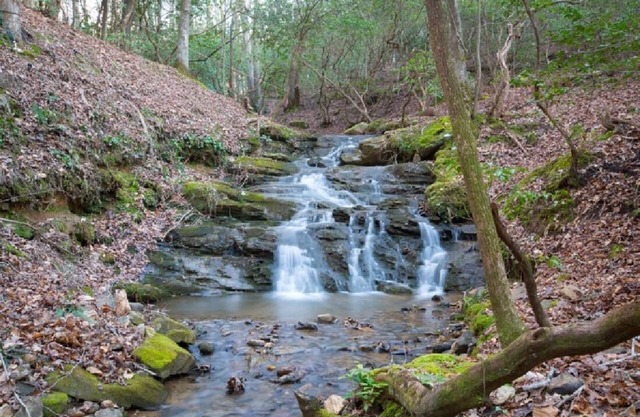 Creekfront Cabin with Waterfall. Hot Tub, Fire Pit, Gameroom, and more.