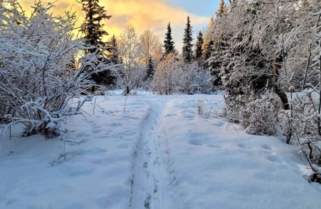 Creekside Home: Wild Alaska Living Centrally Locat