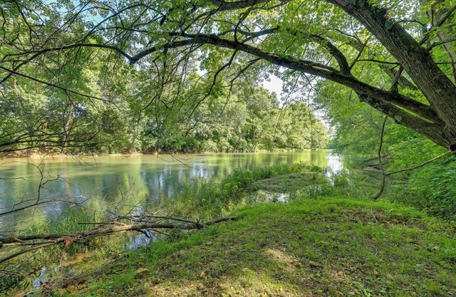 Creekside Nature Escape in Southwest Missouri