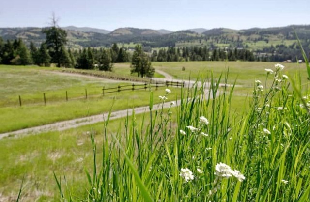 Curlew Earth Home 2BD w/Valley & Mountain Views