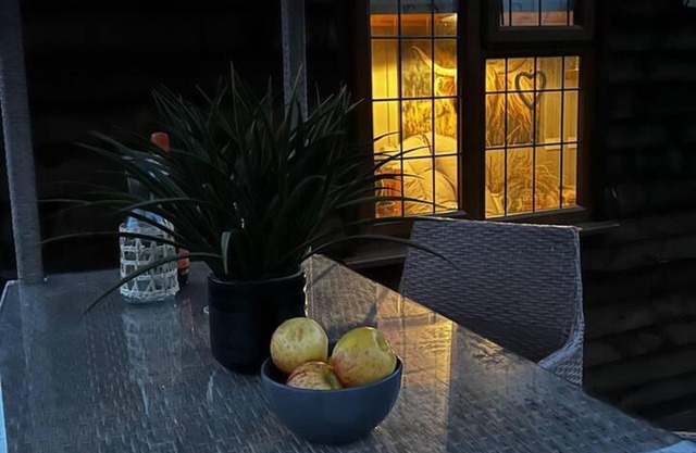 Cute and Cosy Shepard hut With Wood Fuel hot tub