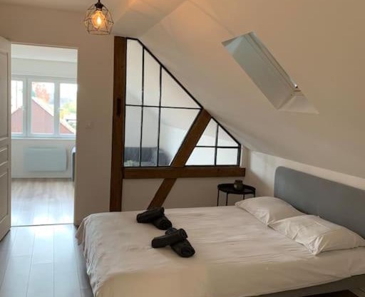 Cute apartment near Colmar