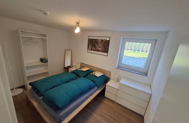 Cute basement apartment near Europa Park