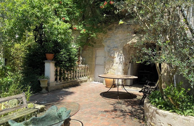 Cygnet at 'Songbird Sanctuary' near Chenonceau