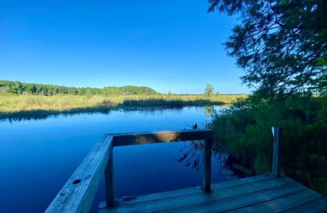 Cypress Fish Camp