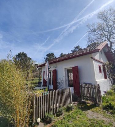D&D, La maison des écureuils