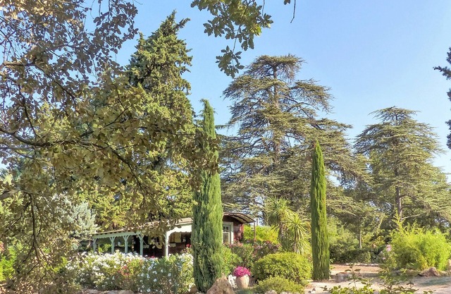 Domaine de Conillières - Lodge Bois de Cèdre