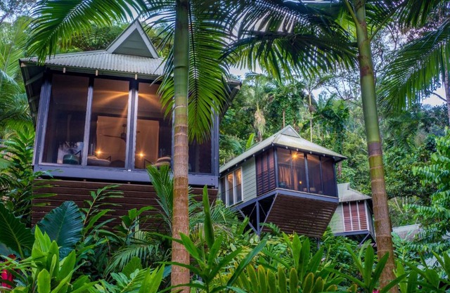 Daintree Ecolodge