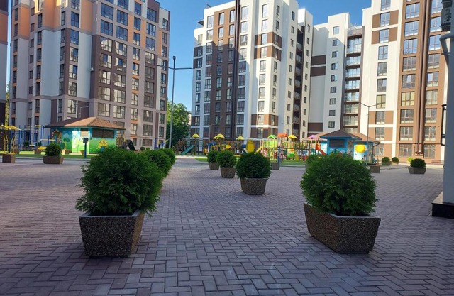 Dansicons apartament