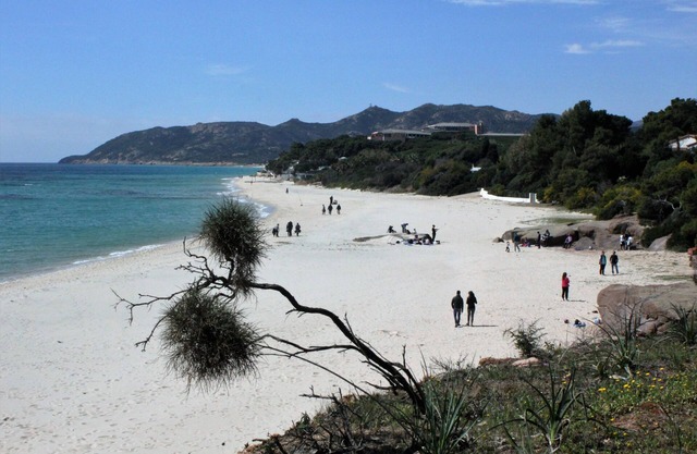 Delightful cottage 200 meters from the beach