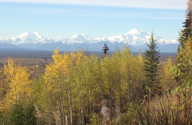 Denali View Mountaintop Guesthouse