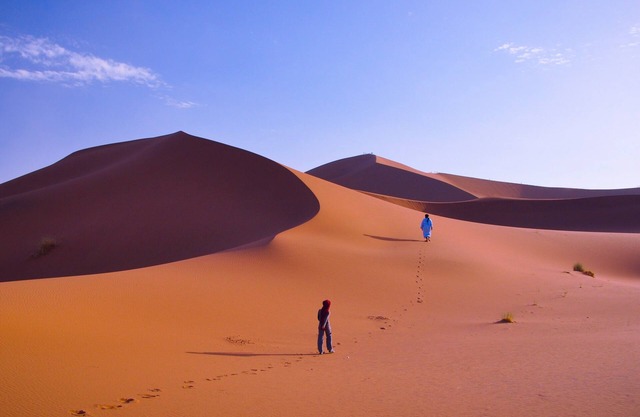 Desert Atmospher Camp
