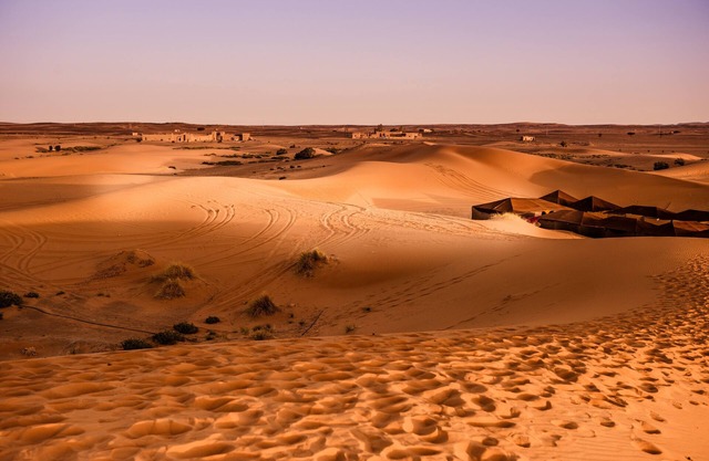 Desert Bivouac
