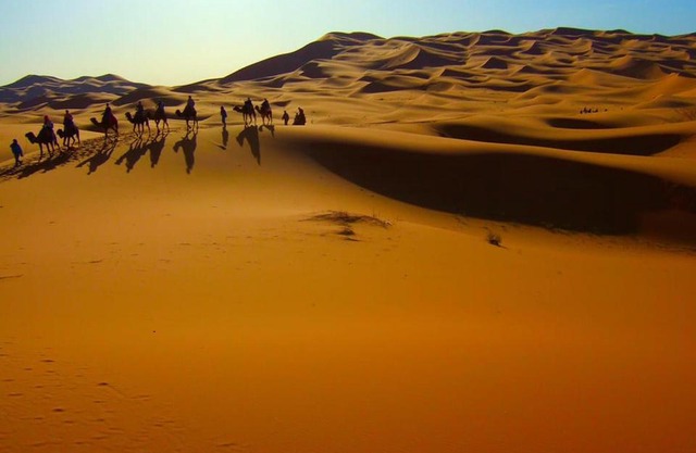 Desert Eyes
