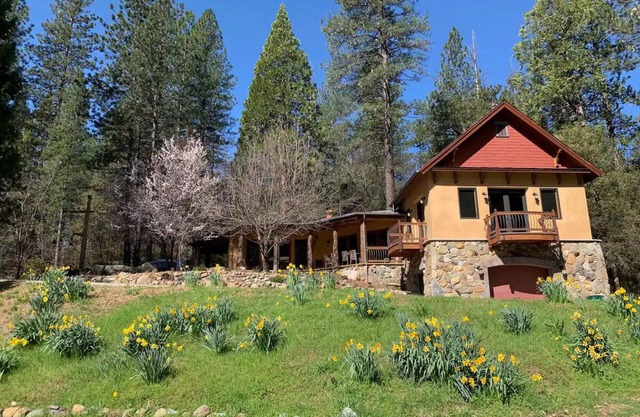 Designer's Spacious Nature Retreat Close To Town with AC, & WiFi in Nevada City