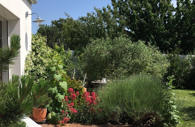 Detached house with garden near the sea