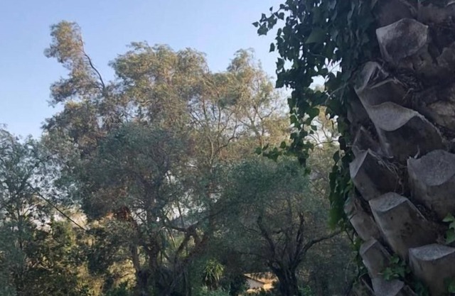 Dimoulitsa Villas Complex