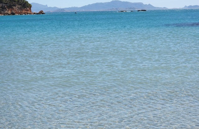 Direct access to the creeks,beach,dog beach within walking distance of the house
