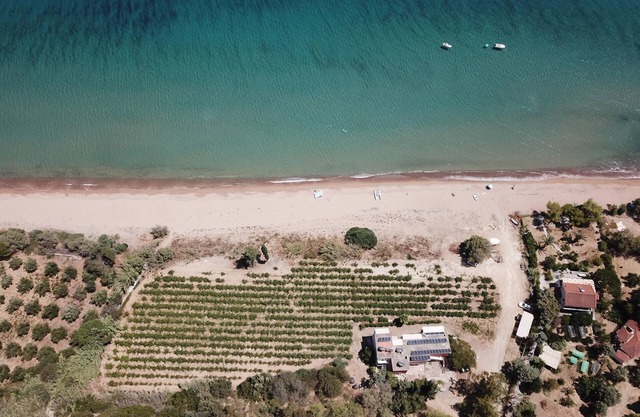 Directly on the fine Memi sandy beach located studio with sea view.