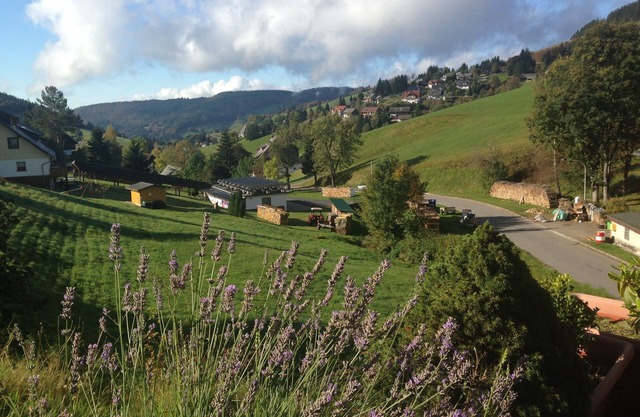 Directly on the ski lift, fireplace, open kitchen, south-facing terrace with views, like with dog
