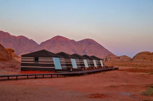 Discover the life of Wadi Rum