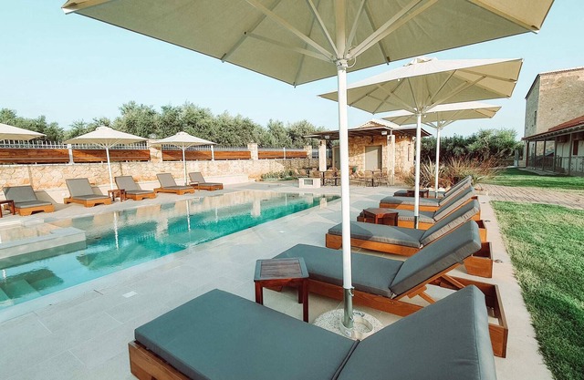 Dive into Delight, Your Perfect Poolside Escape