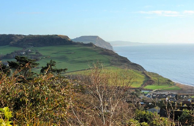 DOLPHINS LEAP, pet friendly, country holiday cottage in Charmouth