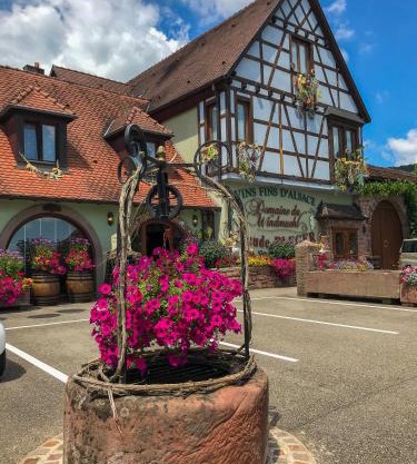 Domaine Bleger by Windmuehl