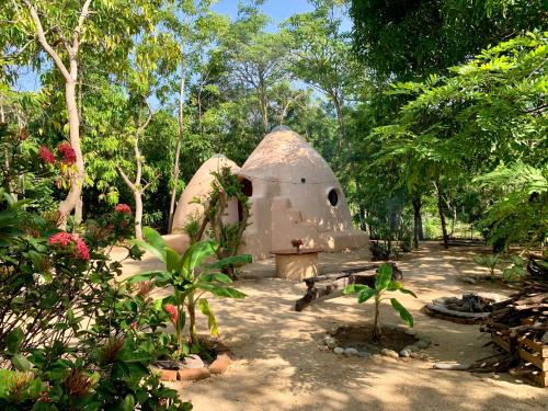 Domo Hermoso Eco Dome