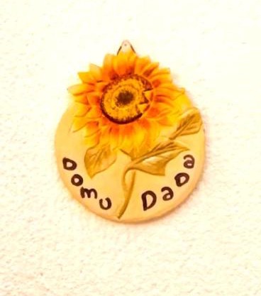 Domu Dada