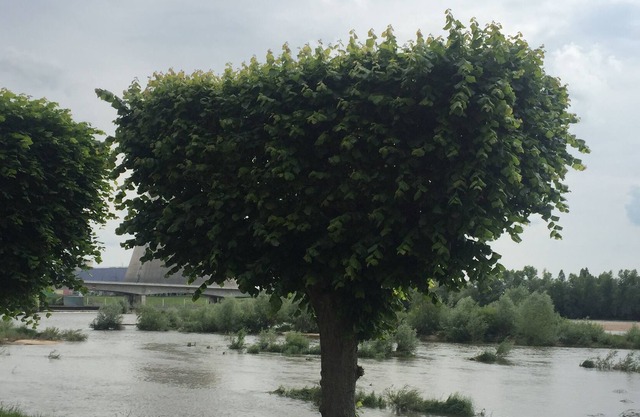 Double studio, near the Belleville power station on the banks of the Loire.
