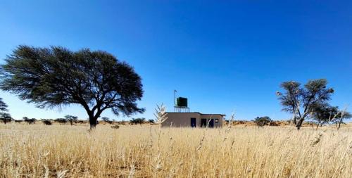 Duineveld Kalahari Camp